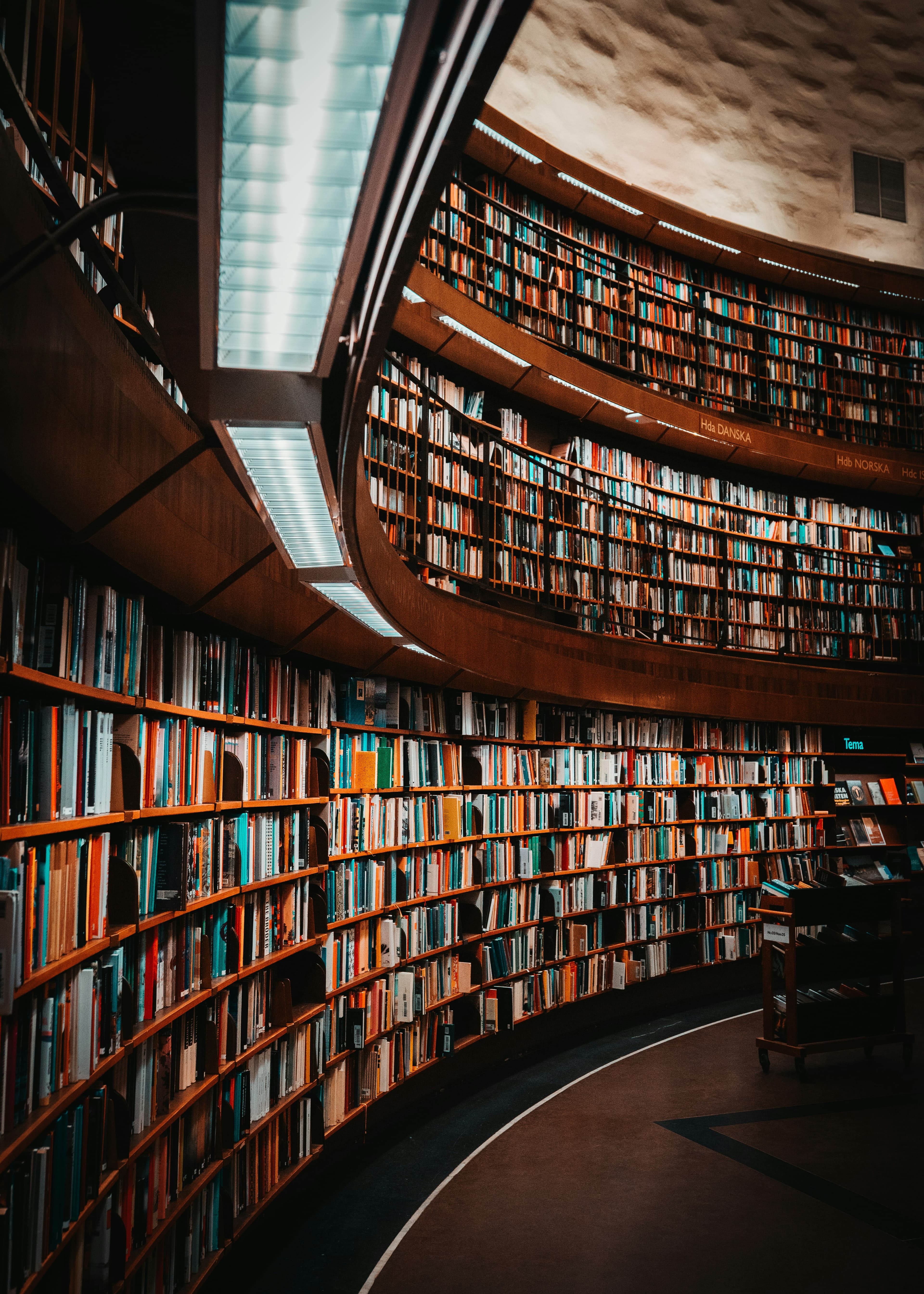 Dewel Books